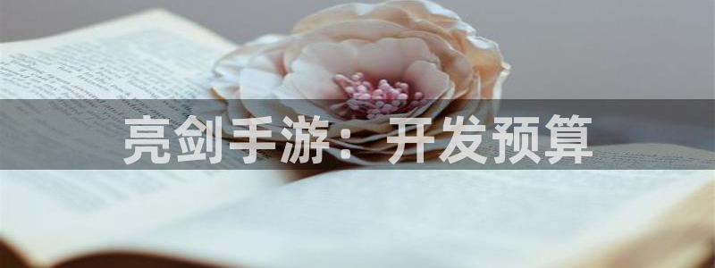 28大神官方下载ios：亮剑手游：开发预算