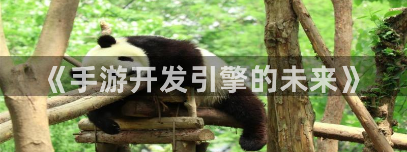 28大神v5.6.0：《手游开发引擎的未来》