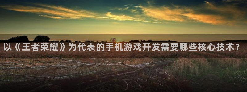 28大神怎么了：以《王者荣耀》为代表的手机游戏开发需要哪些核