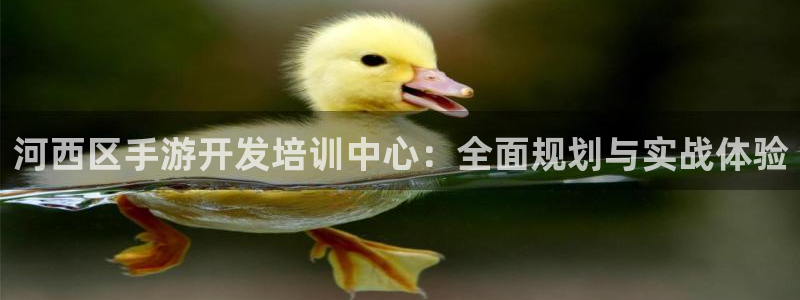 非凡游戏历史：河西区手游开发培训中心：全面规划与实战体验