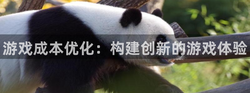 28大神网页：游戏成本优化：构建创新的游戏体验