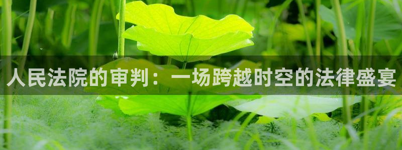 88看球nba直播视频在线直播：人民法院的审判：一场跨越时空的法律盛宴