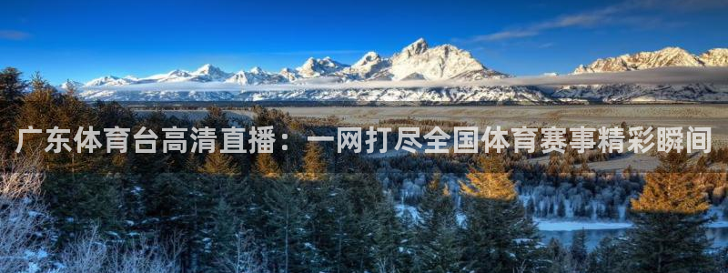 88看球nba直播吧：广东体育台高清直播：一网打尽全国体育赛事精彩瞬间